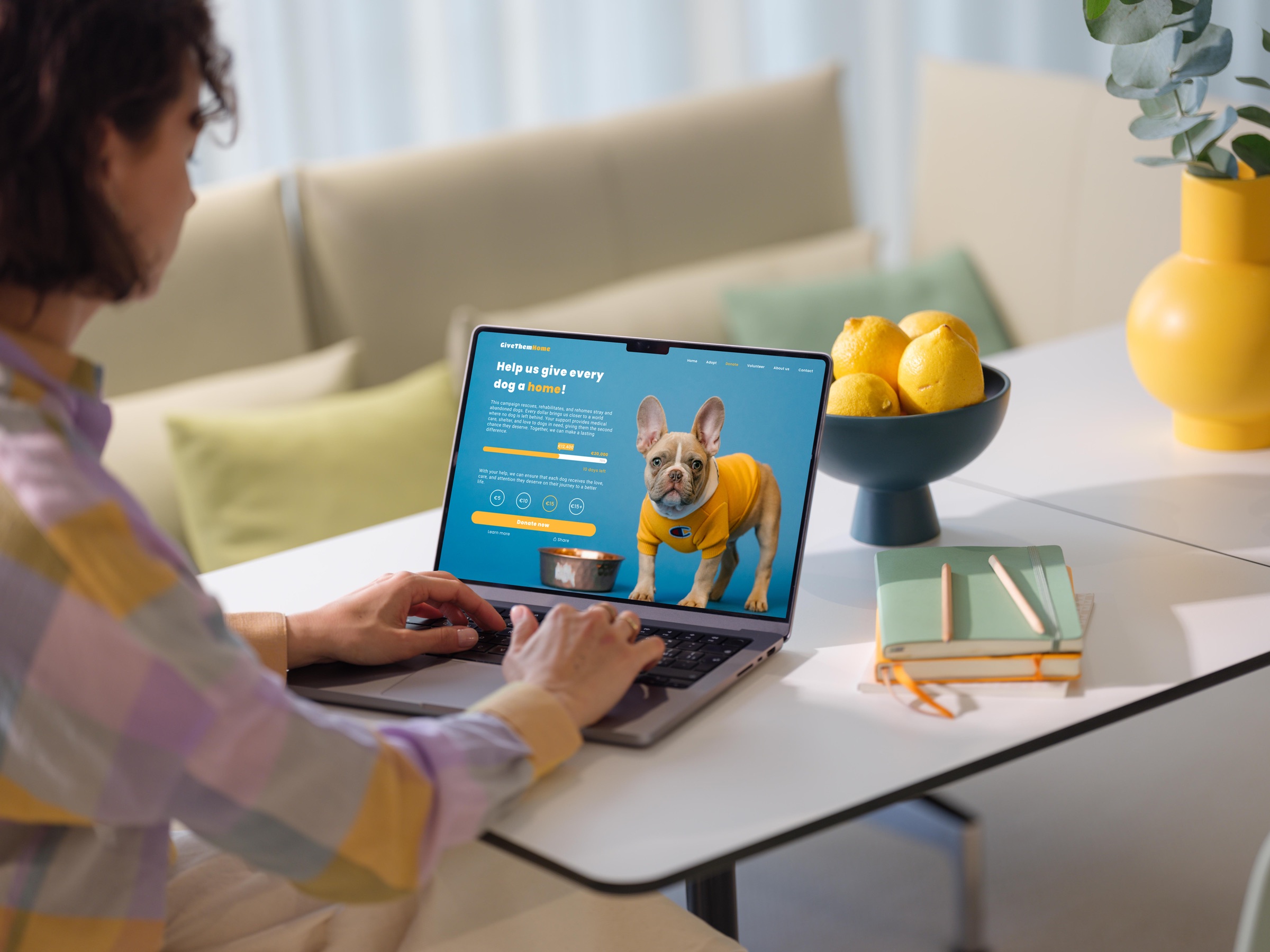 Crowdfunding - MacBook with woman at home office